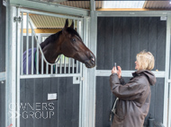 WG031025-69 - Jaramillo